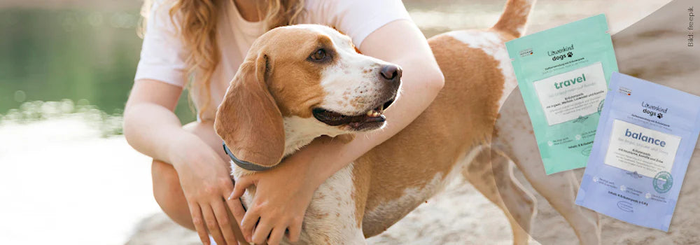 Lieblingsprodukt von Deinem Hund