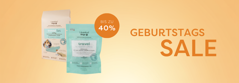 Reiseübelkeit