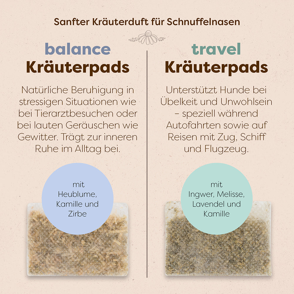 Hundeglück Set