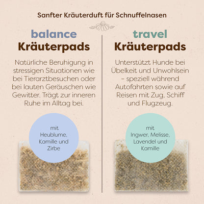 Hundeglück Set
