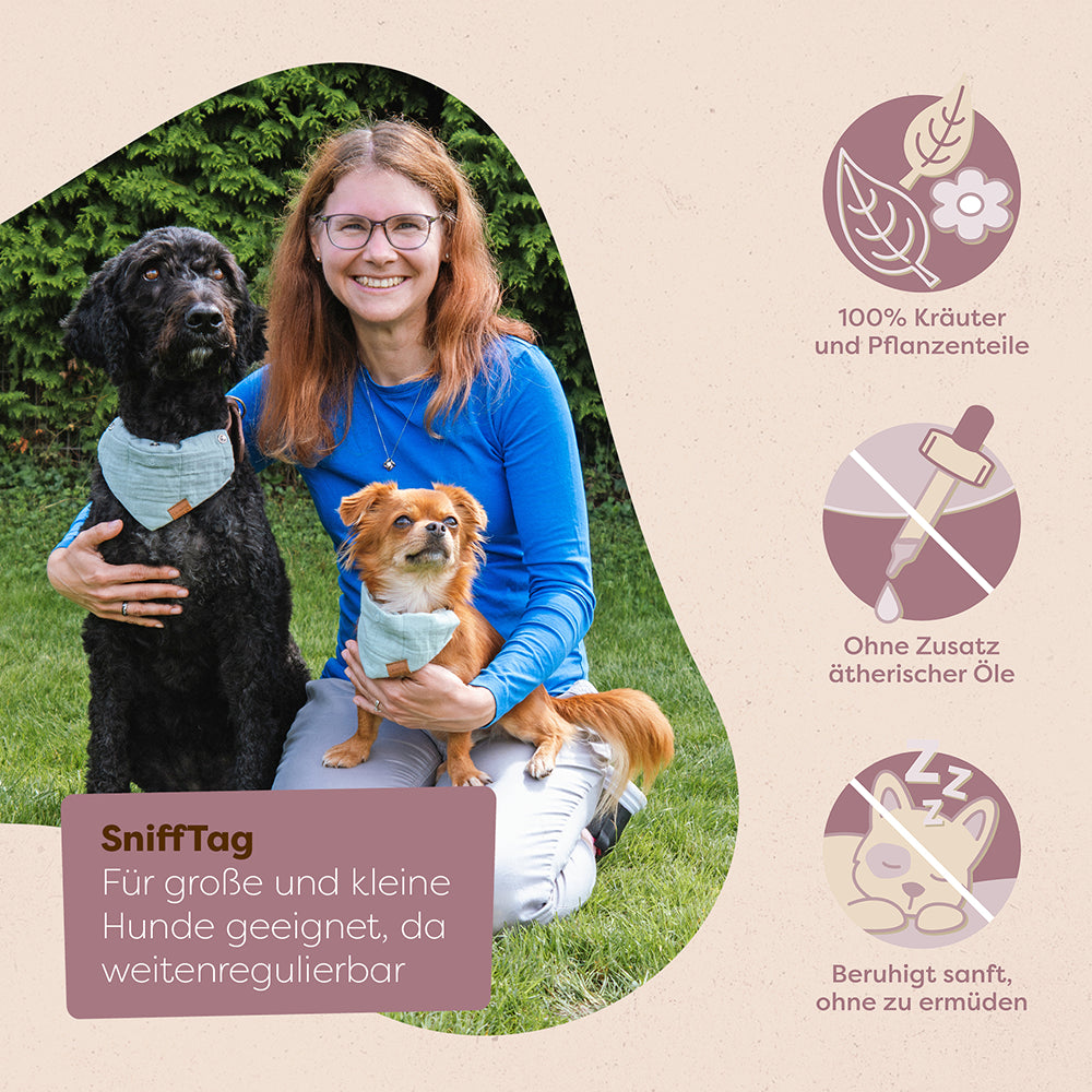 Hundeglück Set