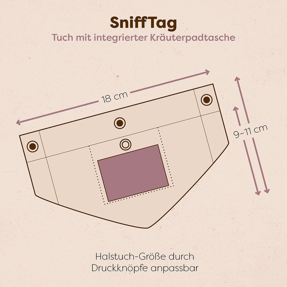 Hundeglück Set