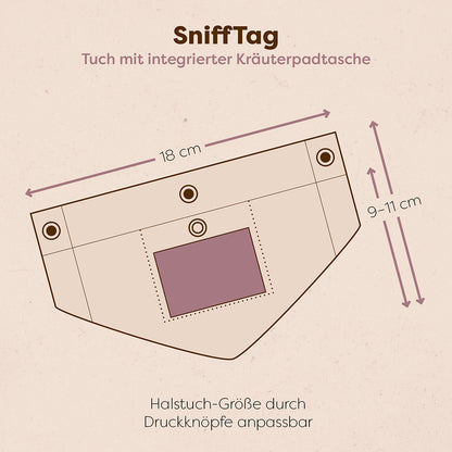 Hundeglück Set