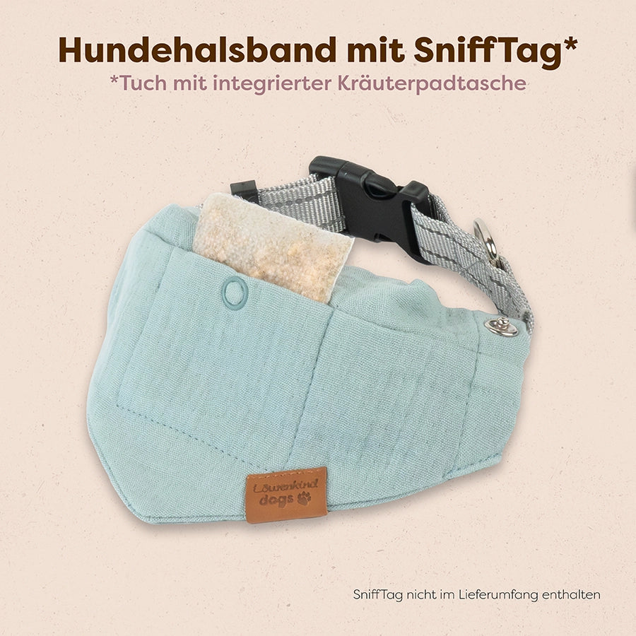 Hundehalsband