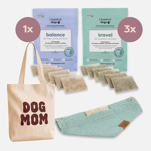 Reise-Buddy-Set