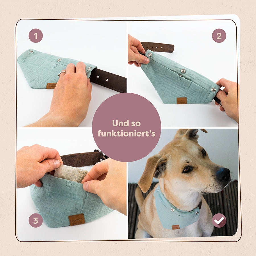 Reise-Buddy-Set