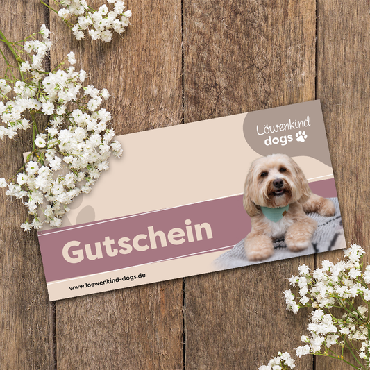Löwenkind dogs - Gutschein